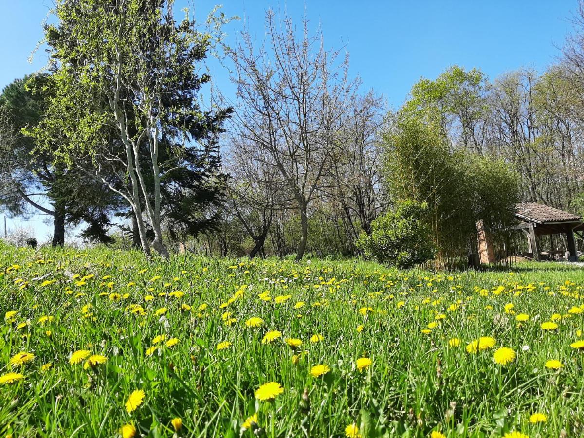 Chambre soignée et accueillante à la campagne - Ch. Jaune L'Honor-de-Cos Extérieur photo