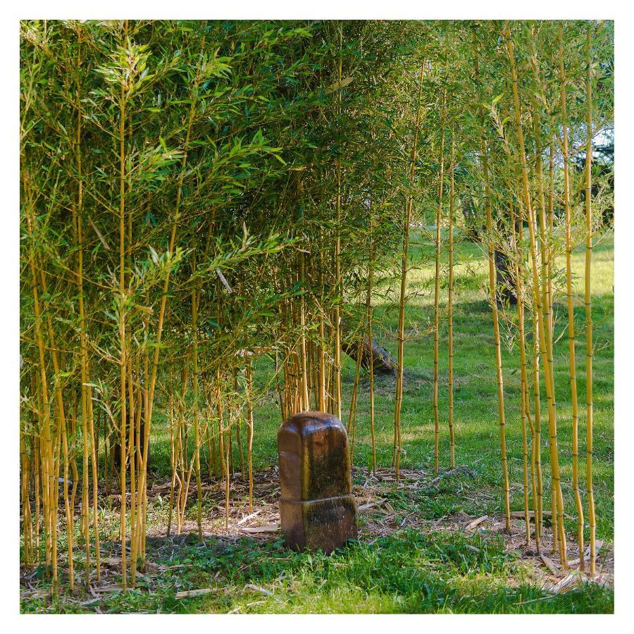 Chambre soignée et accueillante à la campagne - Ch. Jaune L'Honor-de-Cos Extérieur photo